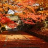 京都の紅葉風景