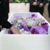 小規模葬儀に求める価値を「小さなお葬式」が調査アンケート